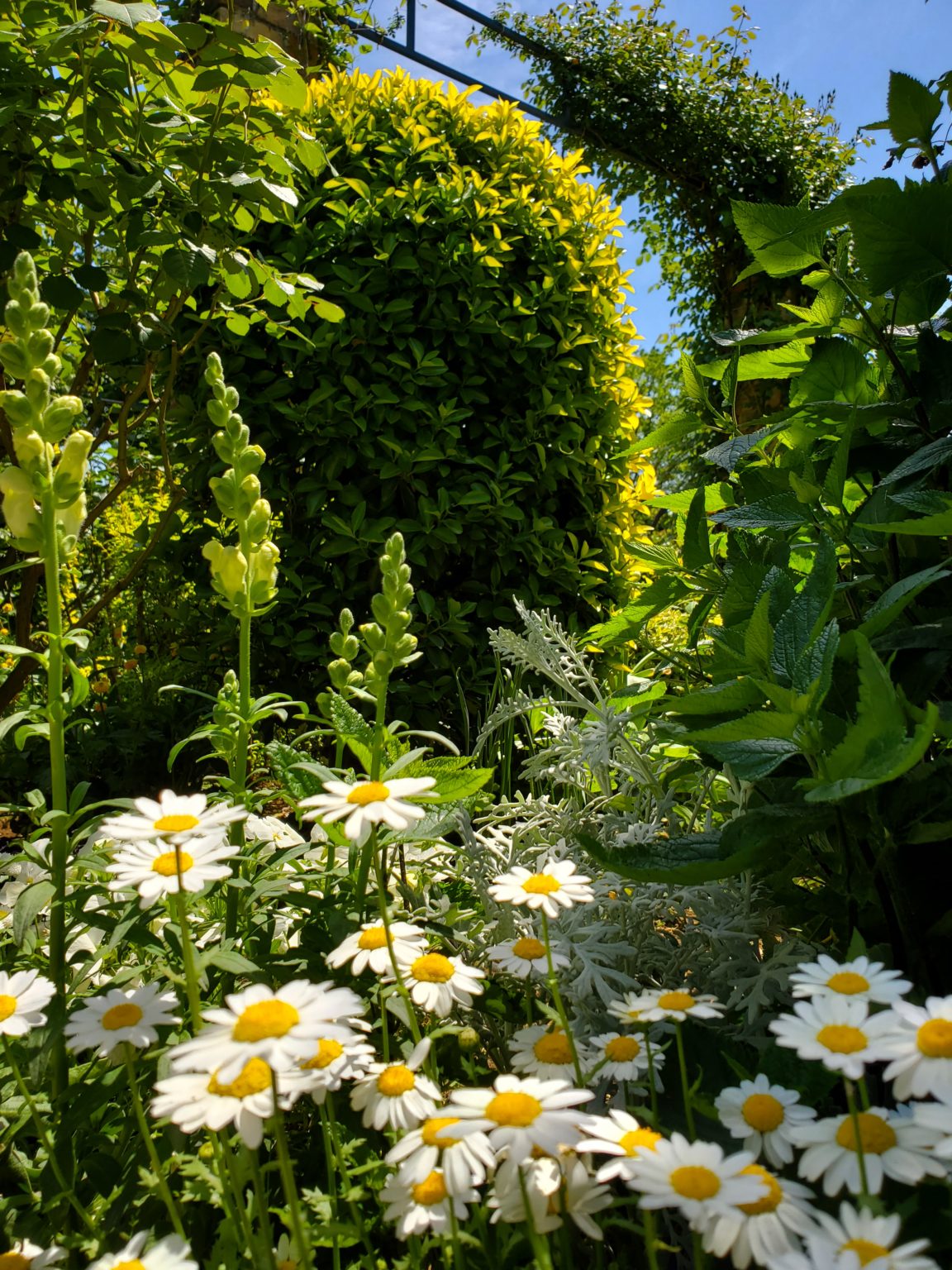 2021　ゴールデンウイーク休業のお知らせ