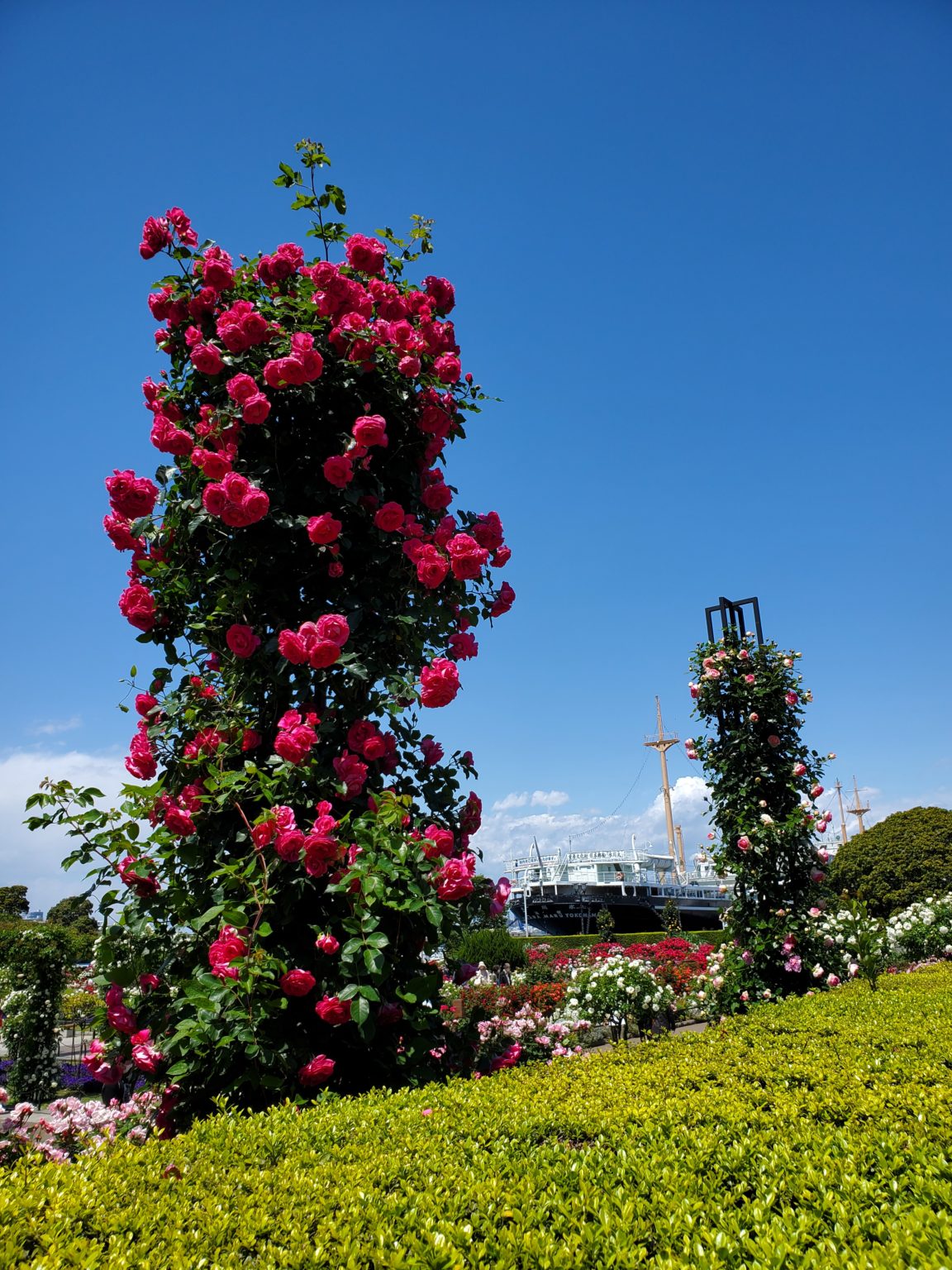 勉強の裏技　42