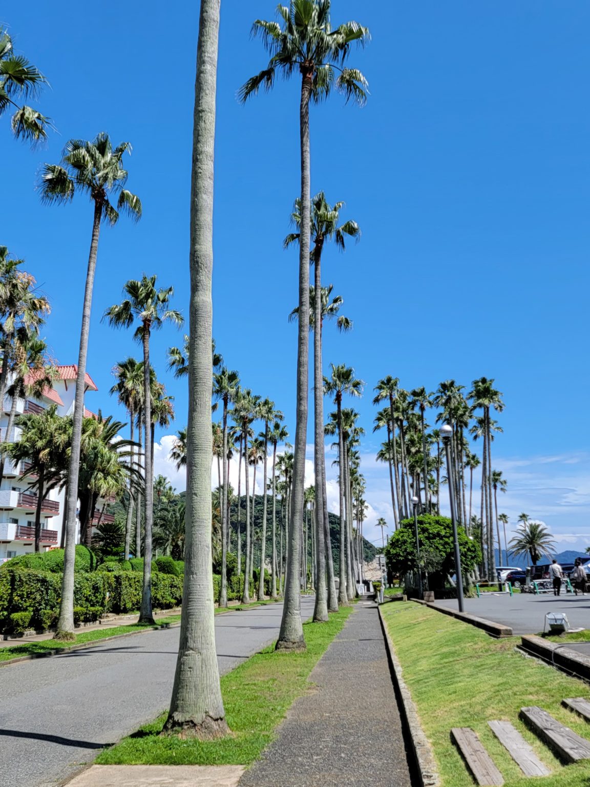 2021　夏期休業のおしらせ