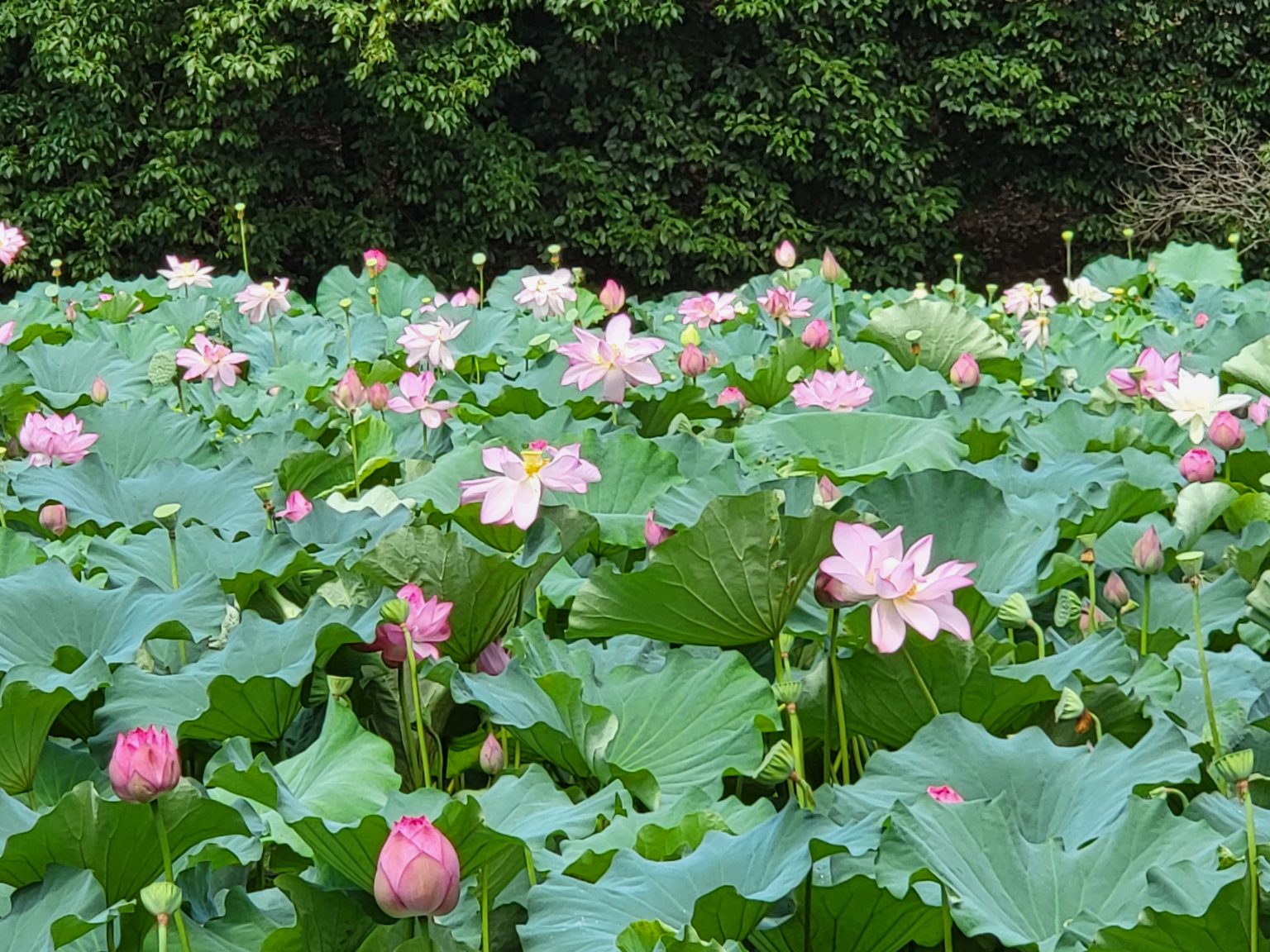 勉強の裏技　45