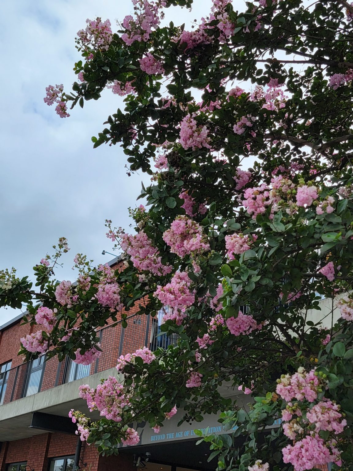 出版社からのインタビュー