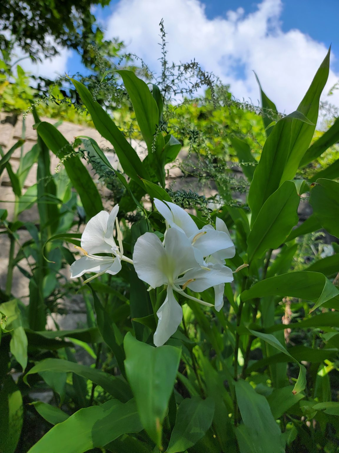 勉強の裏技　４７