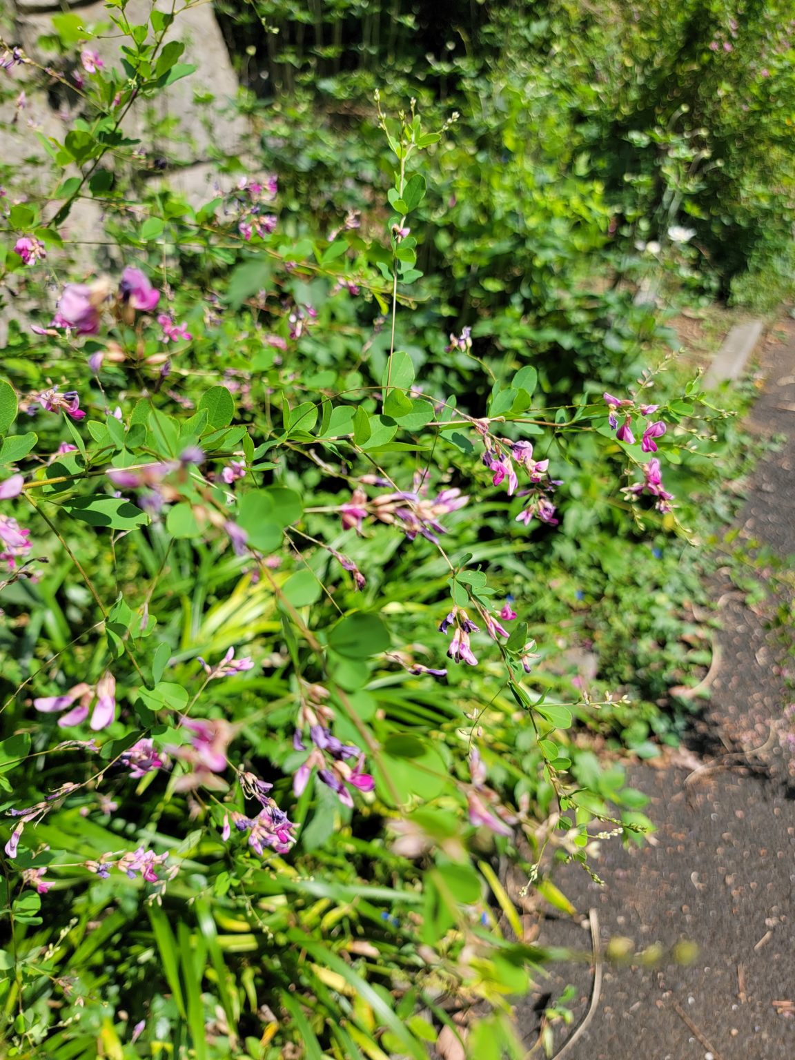 勉強のカラクリ　５