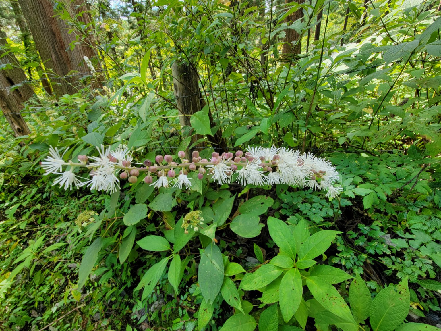 勉強のカラクリ　6