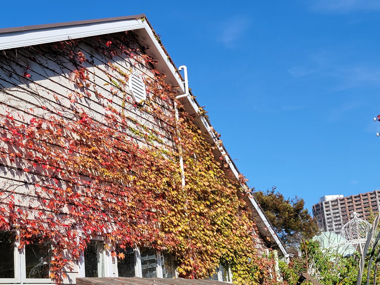 勉強の裏技　48