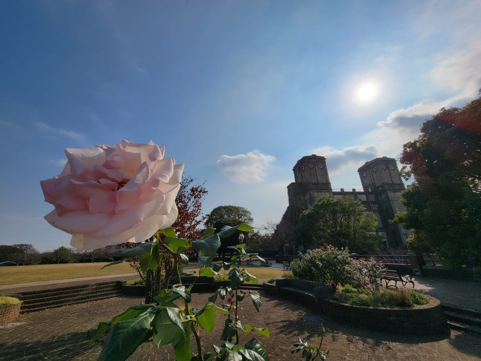 ２０２１年度　合格速報　1