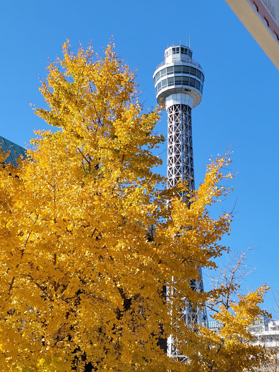 勉強のカラクリ　7