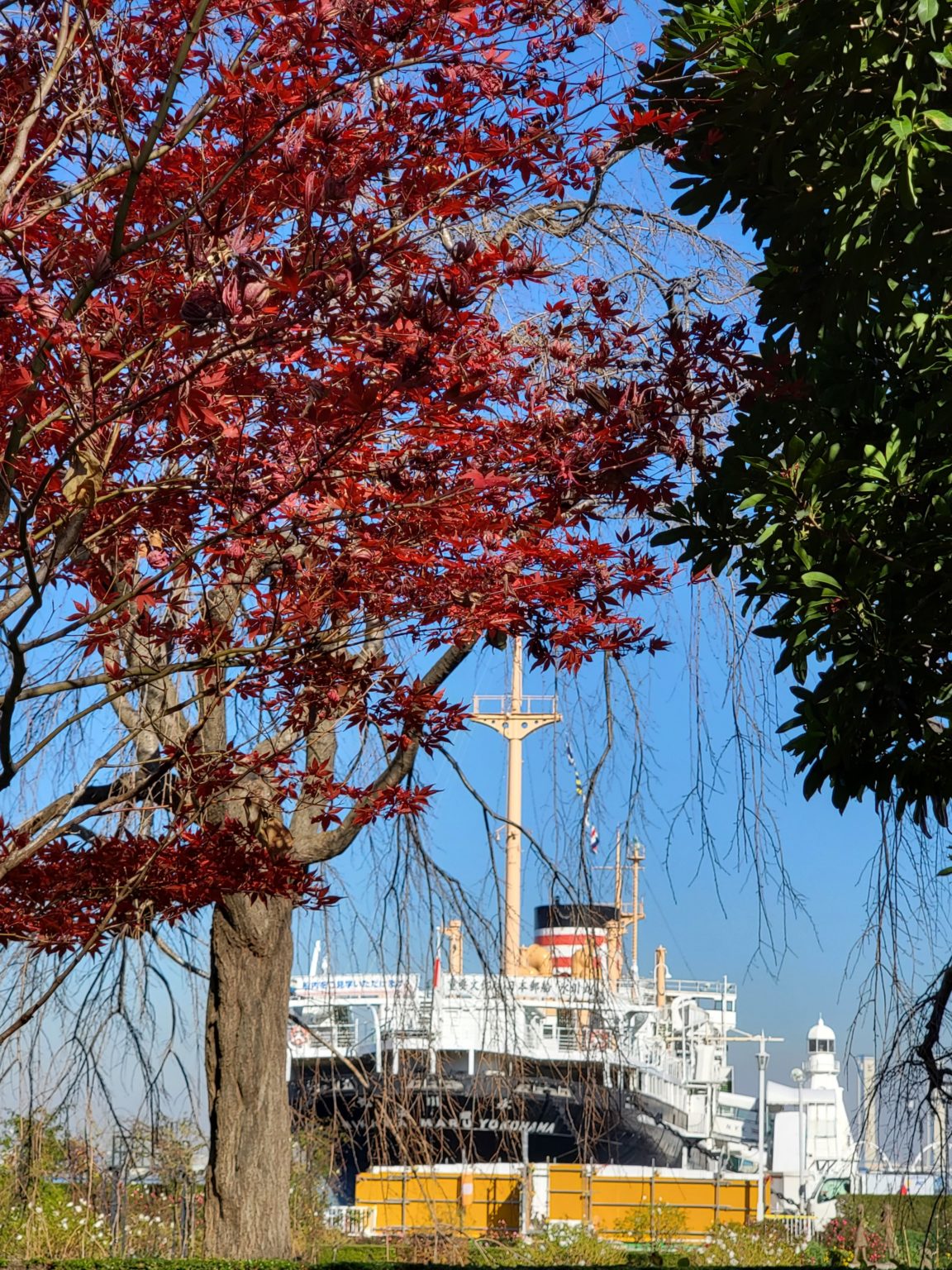 2021年度　合格速報２