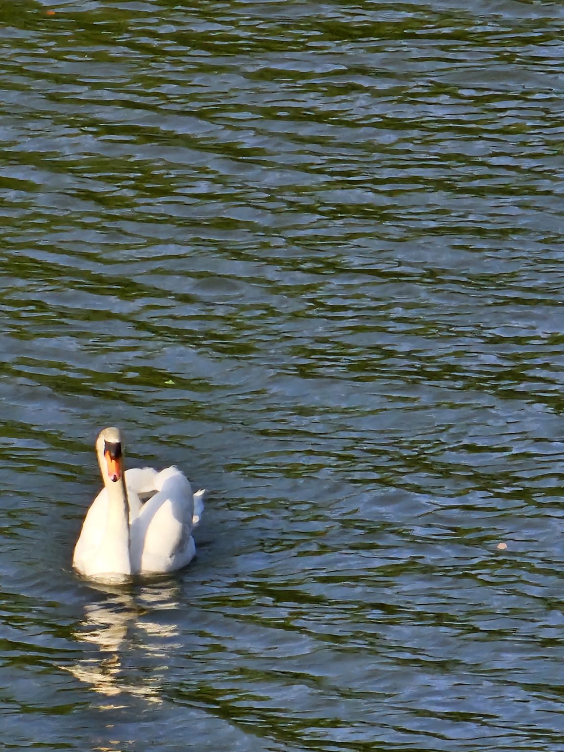 勉強のカラクリ　17