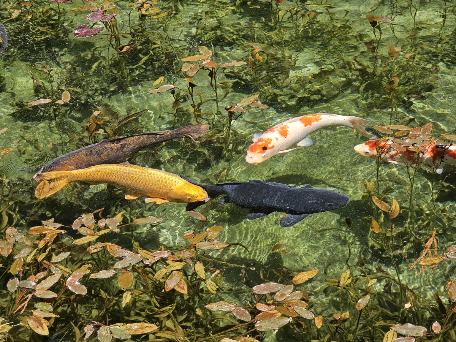 2023年度　合格速報　1