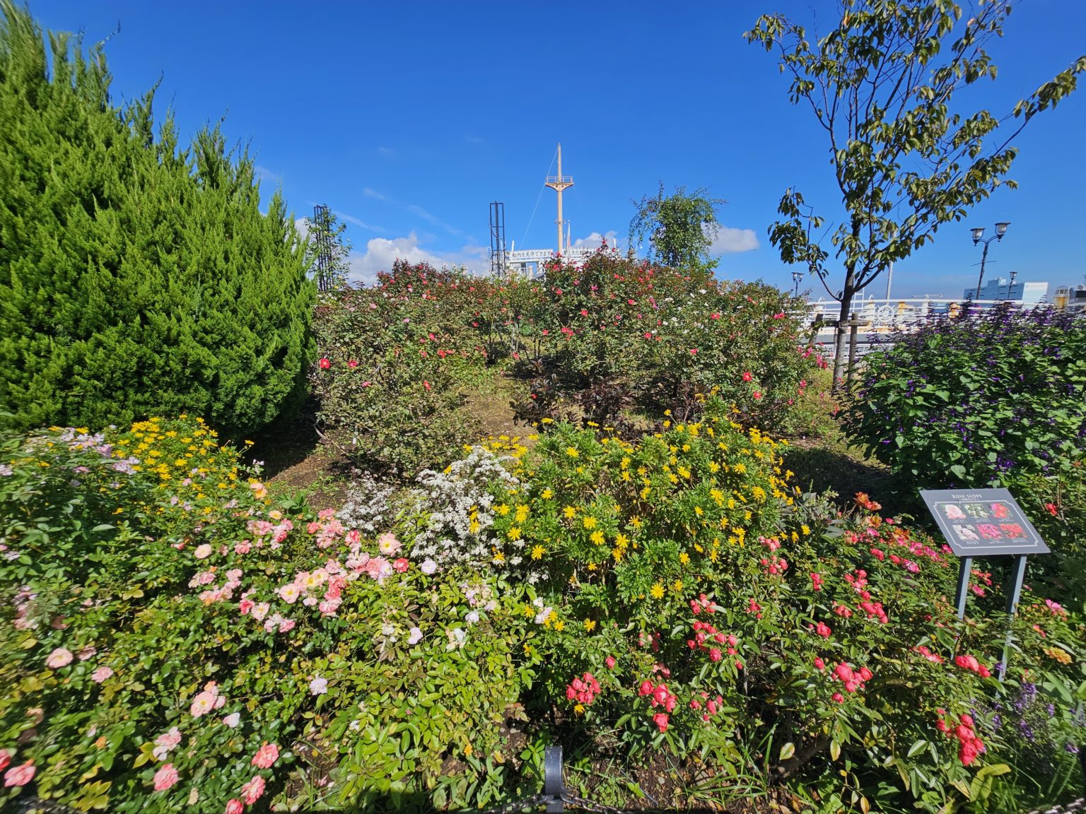 勉強の裏技　82　「面接対策」