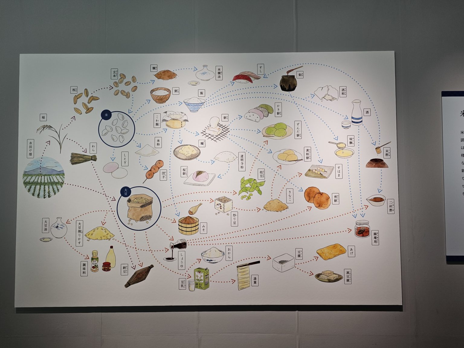 2024年　合格速報　6