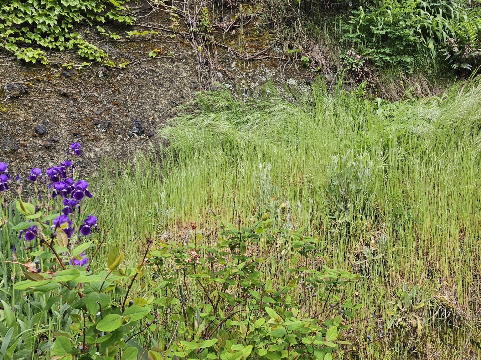 勉強の裏技　89「やる気が出ない」