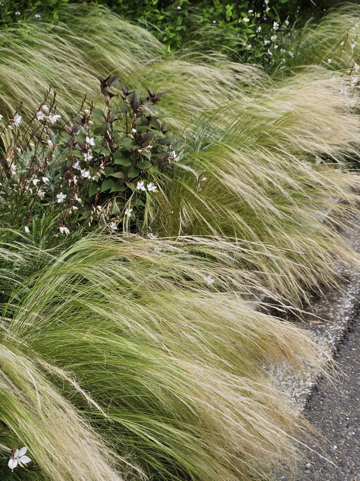 2024　大学入試セミナー