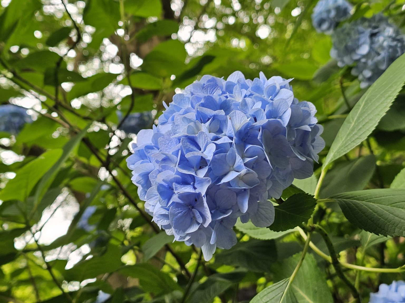 勉強の裏技　90「右の耳から左の耳へ」