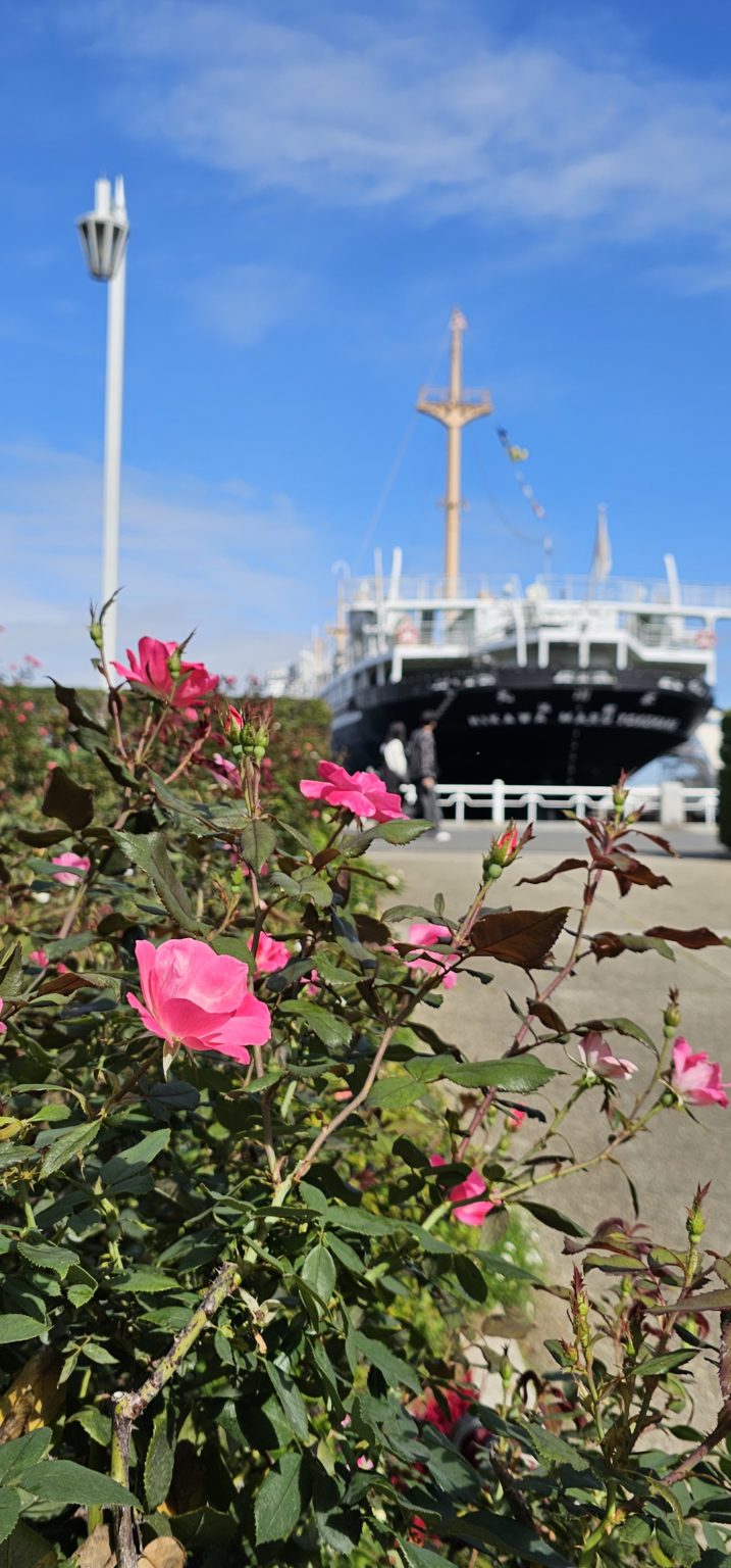 来年度から中学校の教科書が変わります