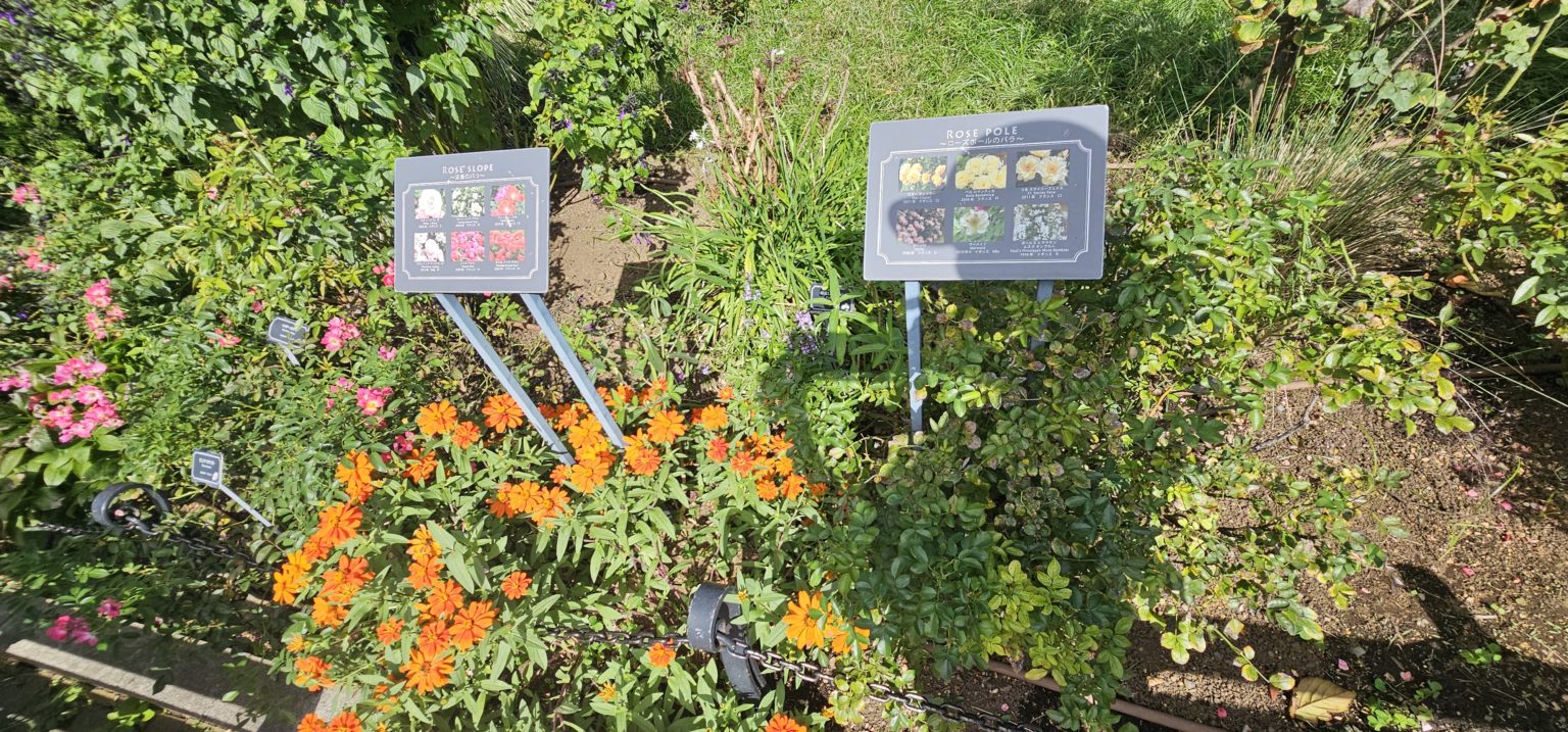 2024年　合格速報　1