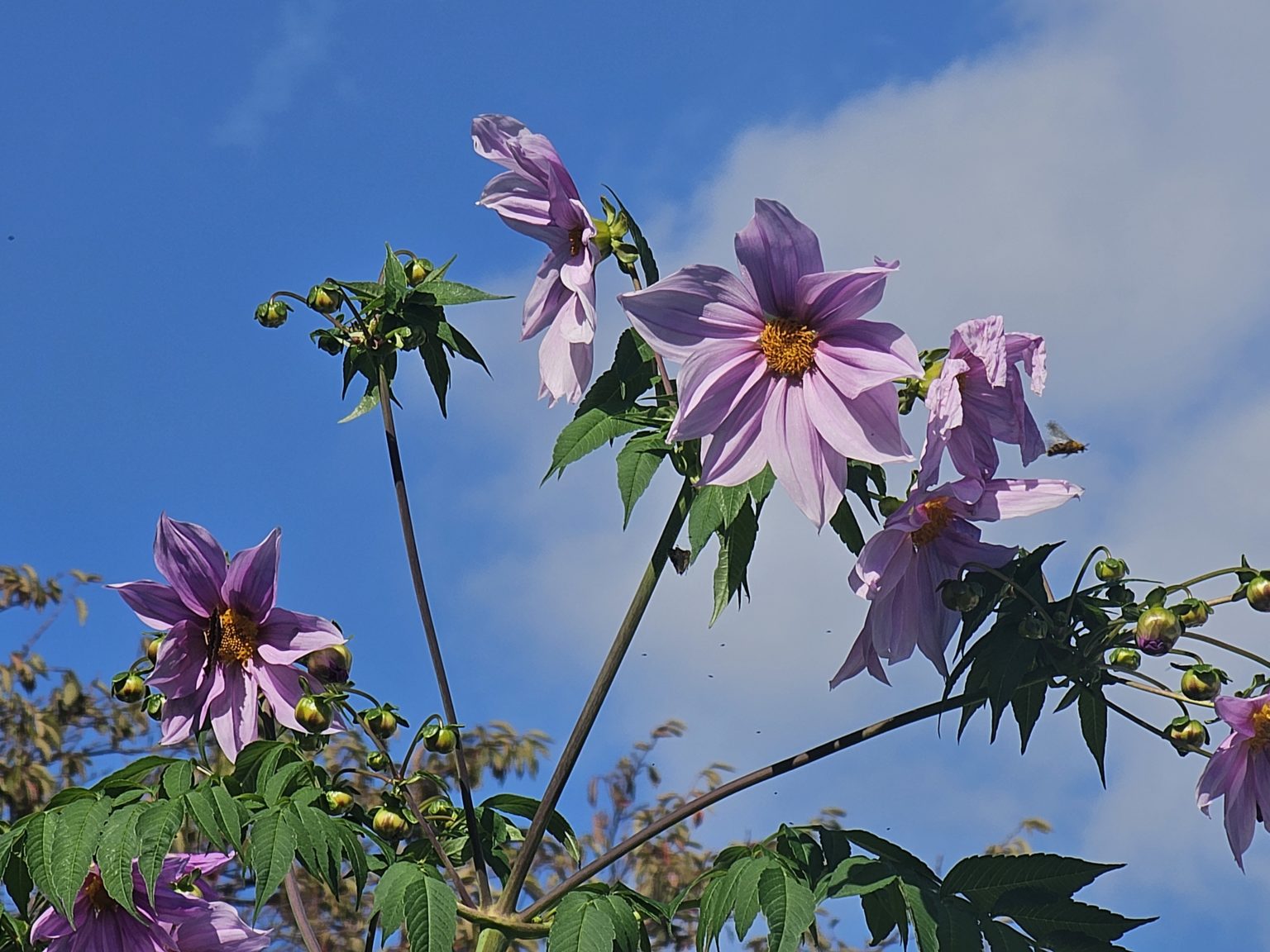 勉強のカラクリ　29「平気でウソをつく子に育てたくない」