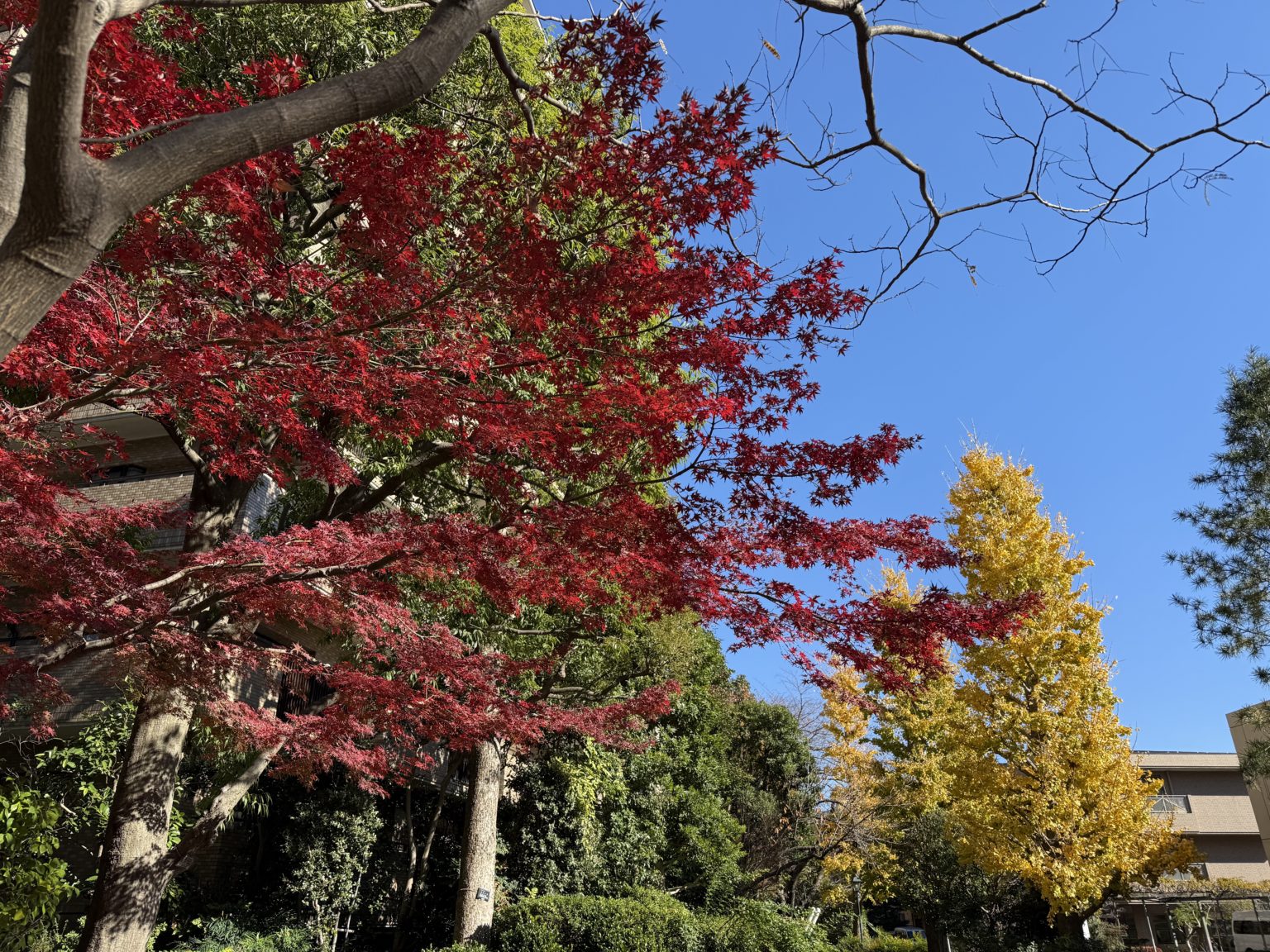 2024年　合格速報　3