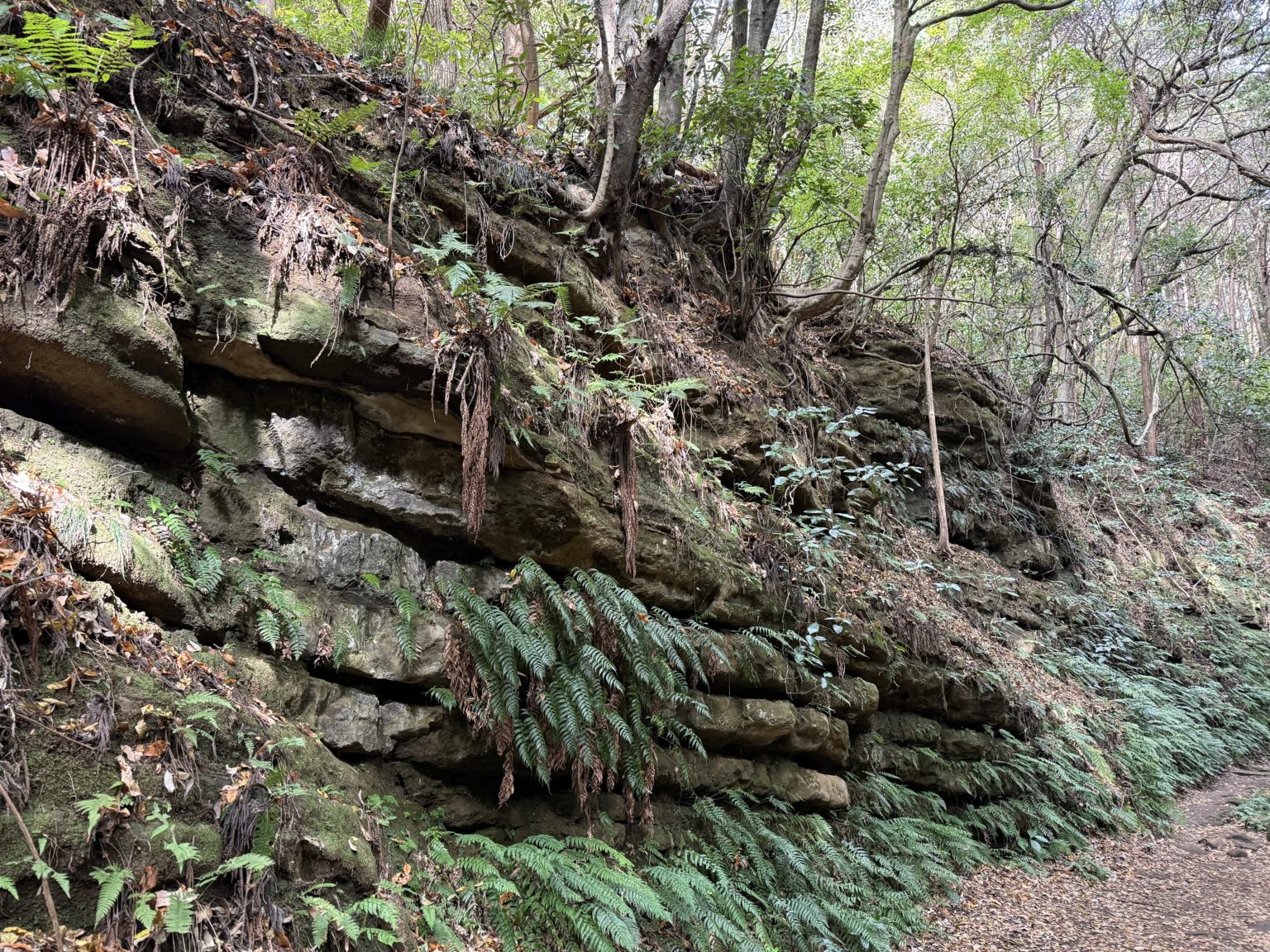 勉強の裏技　95「その勉強方法、まちがっていませんか？」