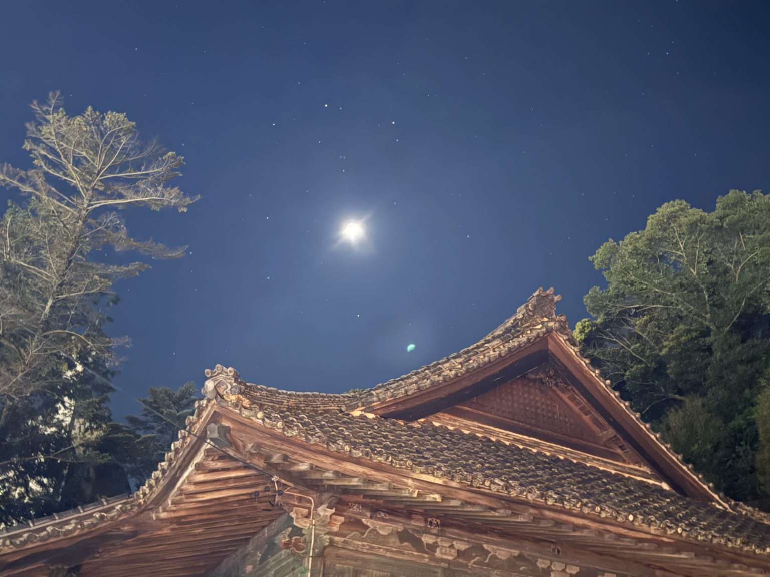 勉強の裏技　101「自分のペースで」