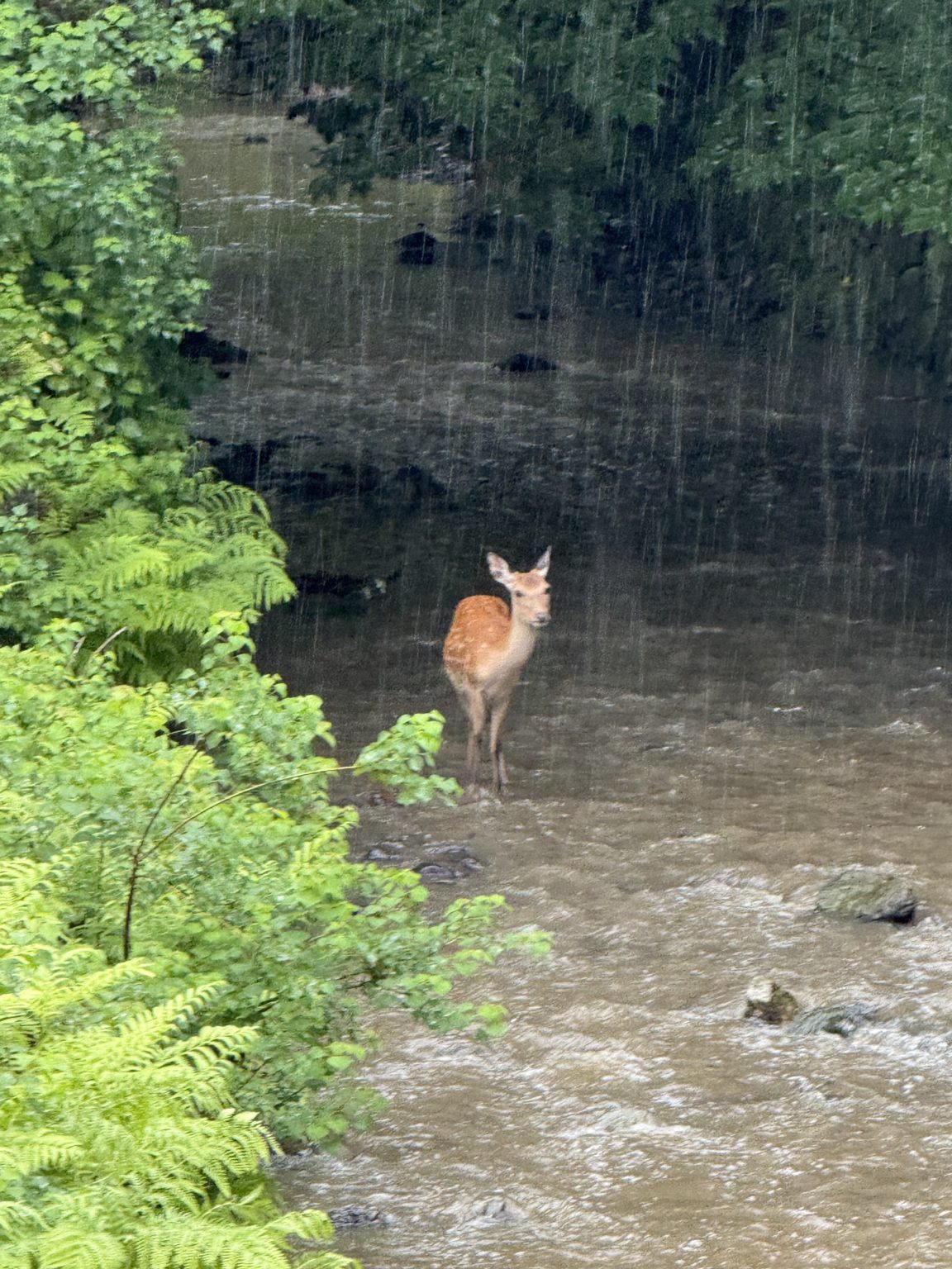 勉強の裏技　104「受験との向き合い方」