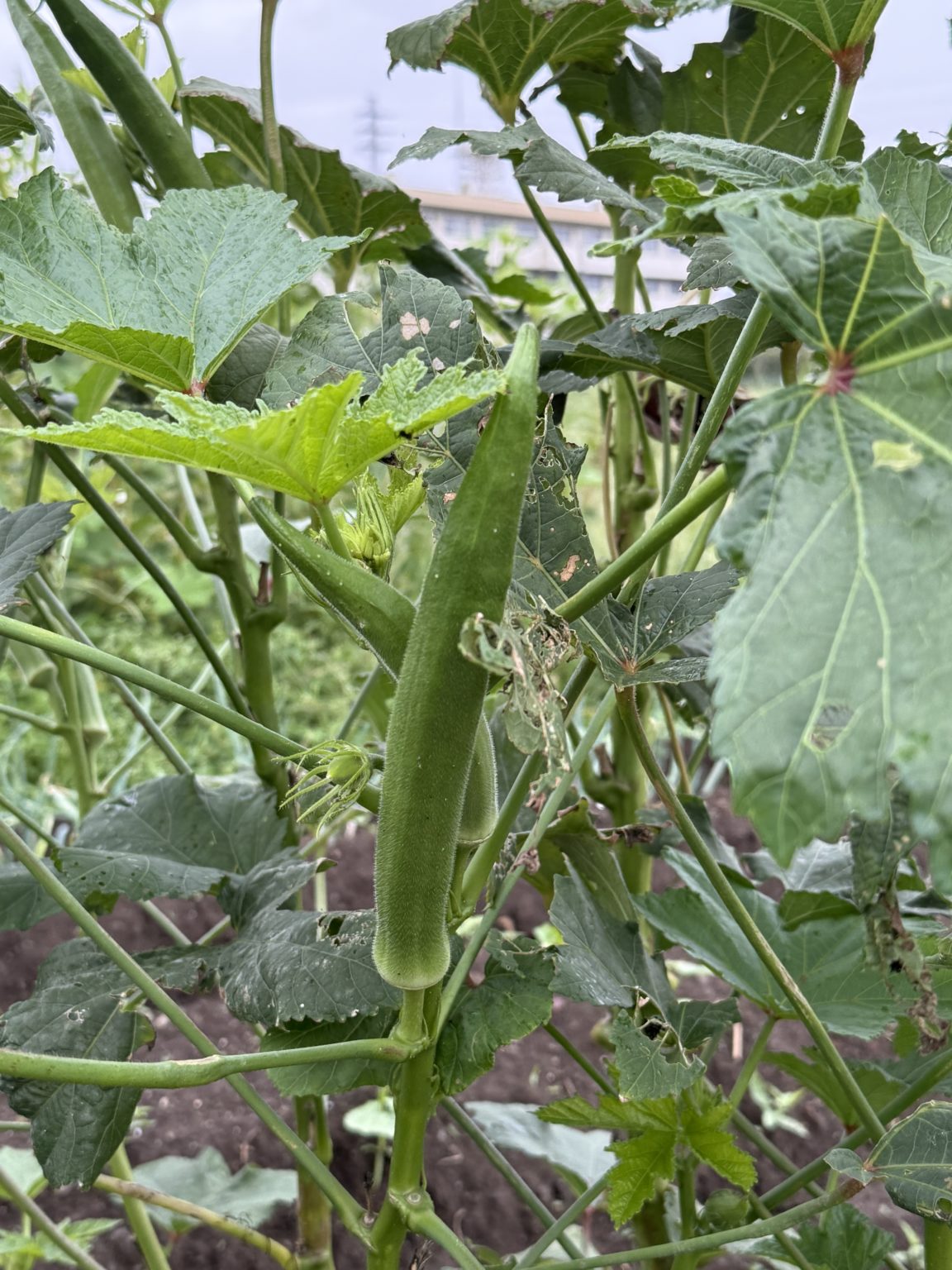 勉強の裏技　107「思いやりの心」