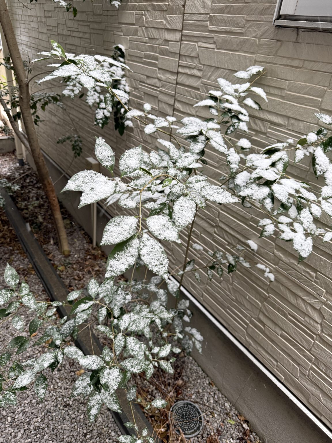 2026　合格速報　2