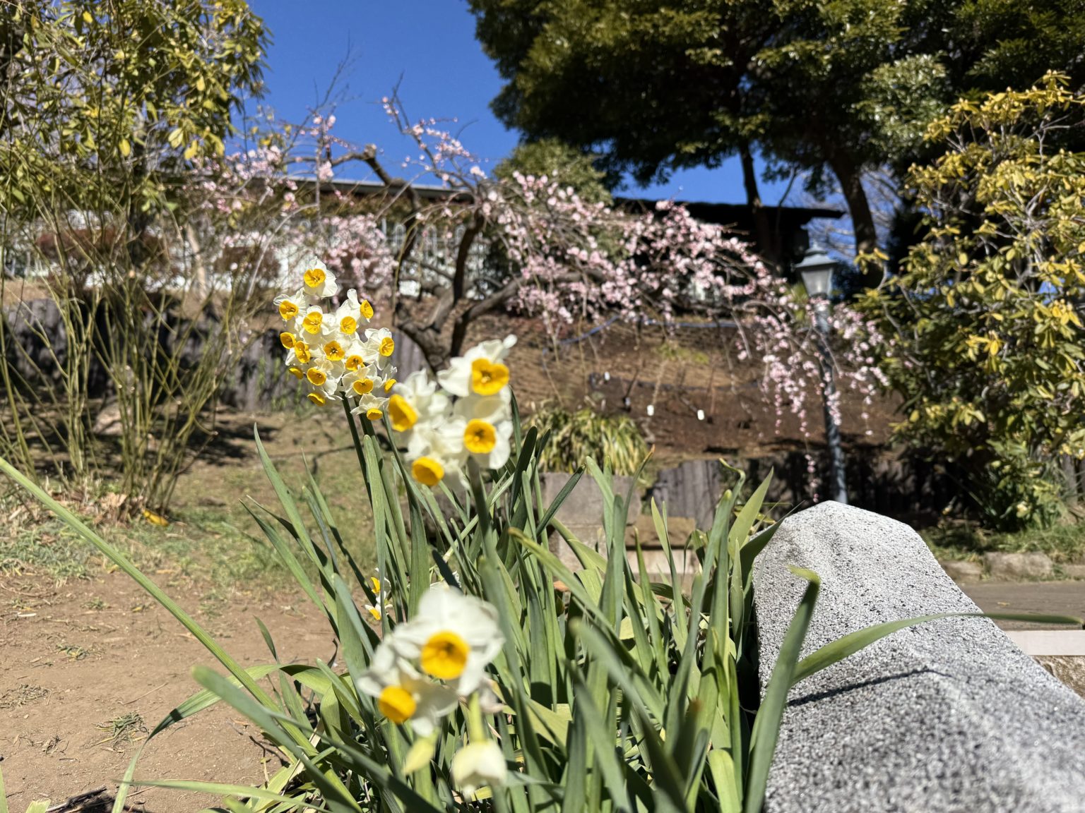 2026　合格速報　4